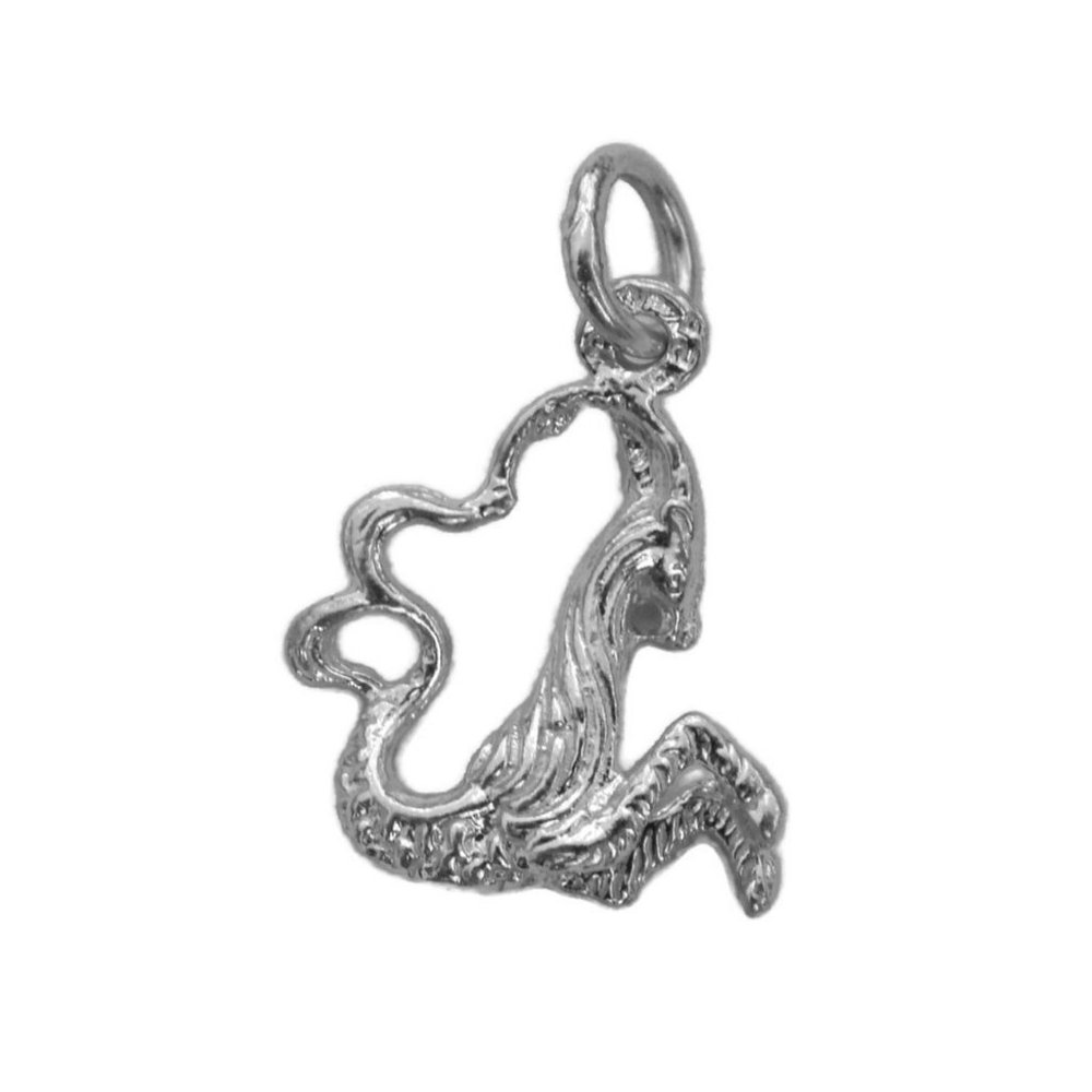 Capricorn Horoscope Zodiac Sign Unisex Pendant .
